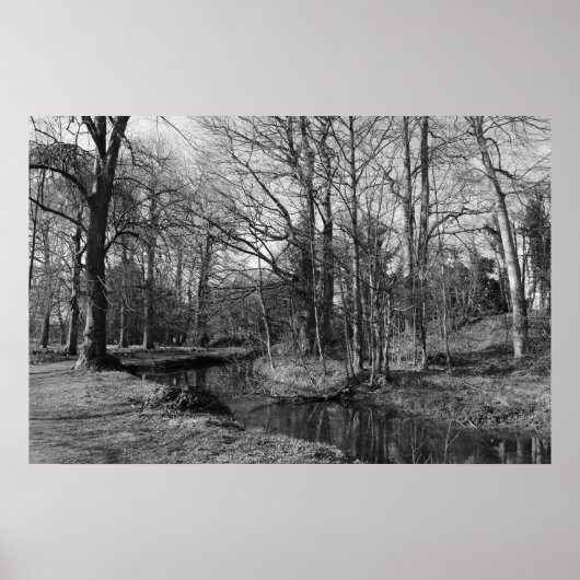Park Landscape - Bute Park, Cardiff Poster (Voorkant)