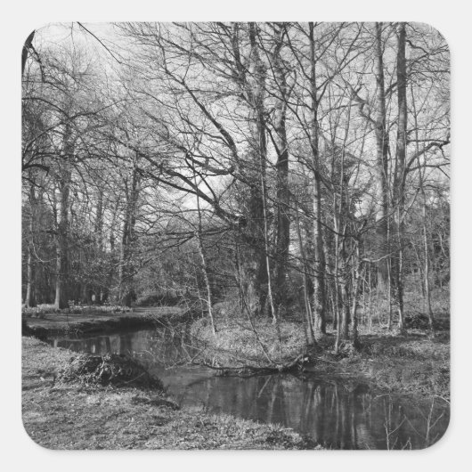 Park Landscape - Bute Park, Cardiff Vierkante Sticker (Voorkant)