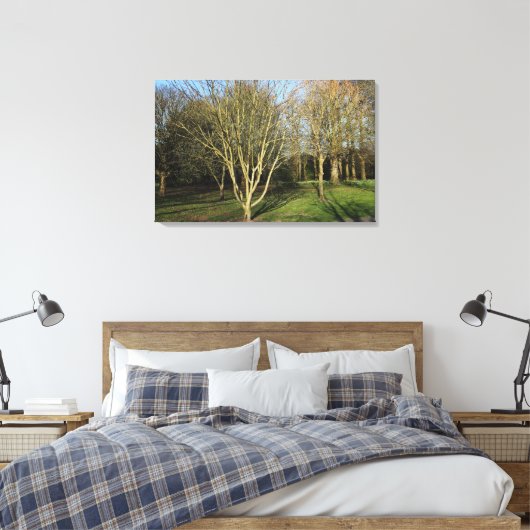 Park Landschap in de vroege lente Canvas Afdruk (Insitu (Slaapkamer))