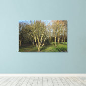 Park Landschap in de vroege lente Canvas Afdruk (Insitu (Houten vloer))