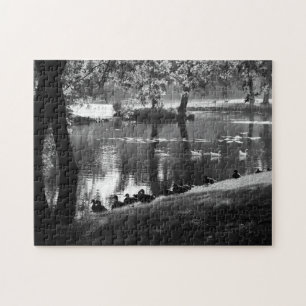 Park Life 11x14 252pc jpcna Legpuzzel