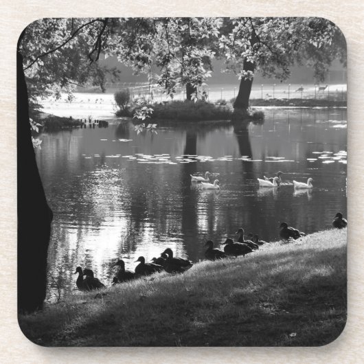 Park Life coasterie Bier Onderzetter (Voorkant)