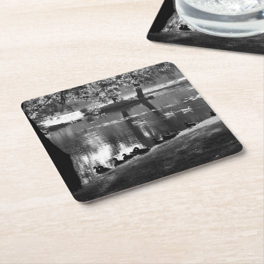 Park Life coasterie Kartonnen Onderzetters (Schuin)