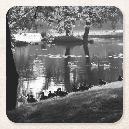 Park Life coasterie Kartonnen Onderzetters (Voorkant)