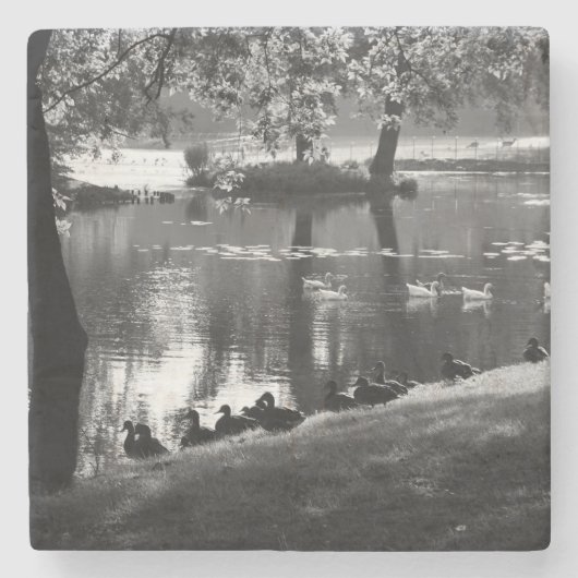 Park Life coasterie Stenen Onderzetter (Voorkant)