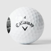 Park Life css gbcna Golfballen (Logo)