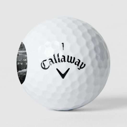 Park Life cwb gbcna Golfballen (Logo)