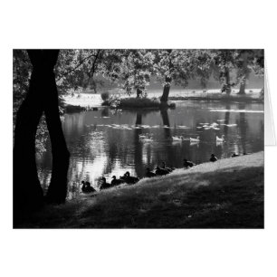 Park Life gcn