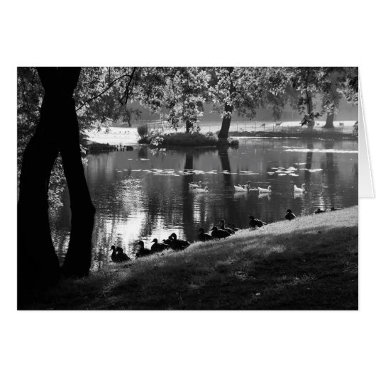 Park Life gcn (Voorkant Horizontaal)