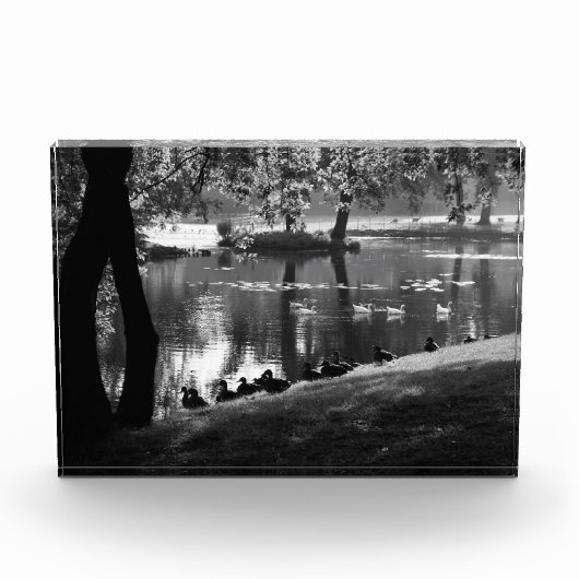 Park Life pba Fotoblokken (Voorkant)