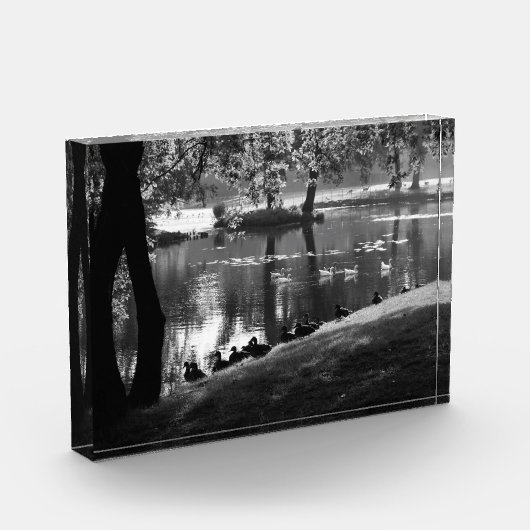 Park Life pba Fotoblokken (Links)