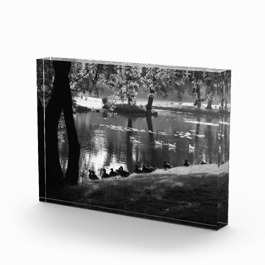 Park Life pbm Fotoblokken (Rechts)