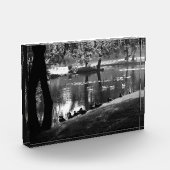 Park Life pbm Fotoblokken (Links)