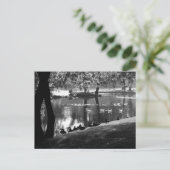 Park Life pccna Briefkaart (Staand voorkant)