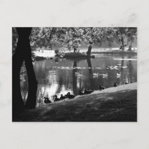Park Life pccna Briefkaart