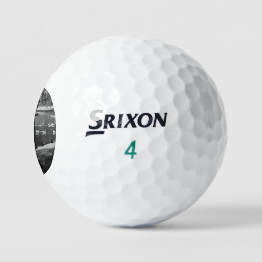 Park Life ssf gbcnm Golfballen (Logo)