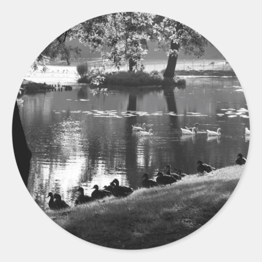 Park Life stcnm Ronde Sticker (Voorkant)