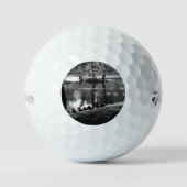 Park Life tmtp5 gbcna Golfballen (Voorkant)