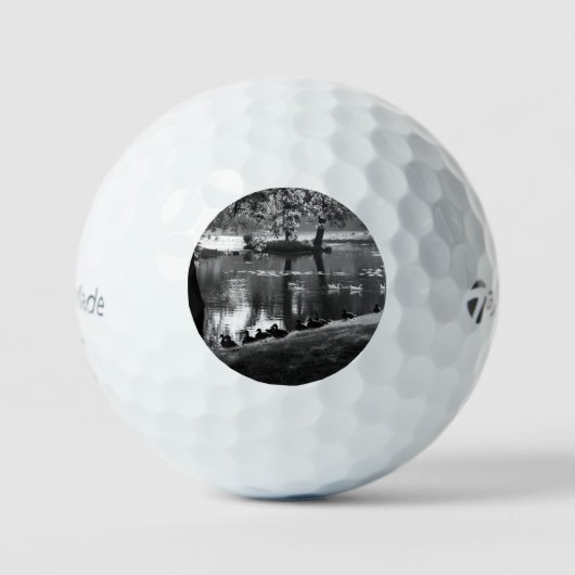 Park Life tmtp5 gbm Golfballen (Voorkant)
