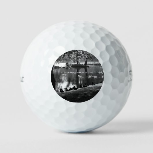 Park Life tpv1 gbm Golfballen (Voorkant)