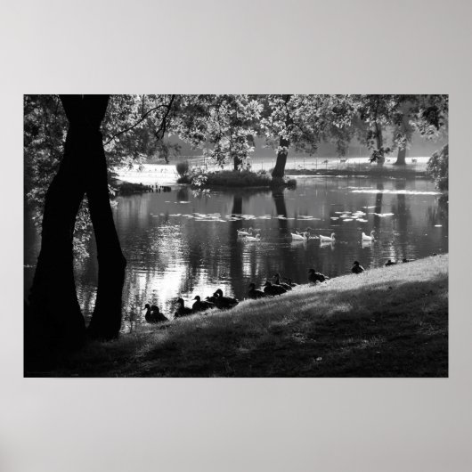 Park Life wapcn Poster (Voorkant)