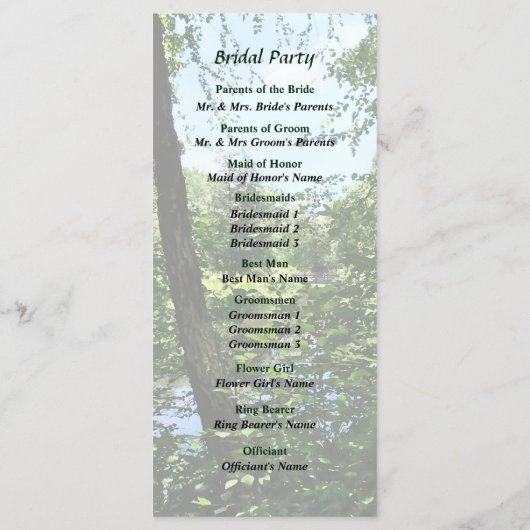 Park met Bridge in Distance Wedding Program Programmakaart (Achterkant)