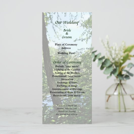 Park met Bridge in Distance Wedding Program Programmakaart (Staand voorkant)