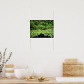 Park Molalla, Canby, Oregon Poster (Keuken)