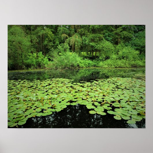 Park Molalla, Canby, Oregon Poster (Voorkant)
