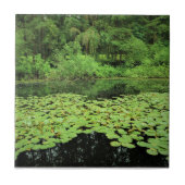 Park Molalla, Canby, Oregon Tegeltje (Voorkant)