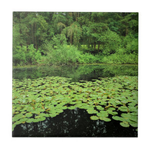 Park Molalla, Canby, Oregon Tegeltje