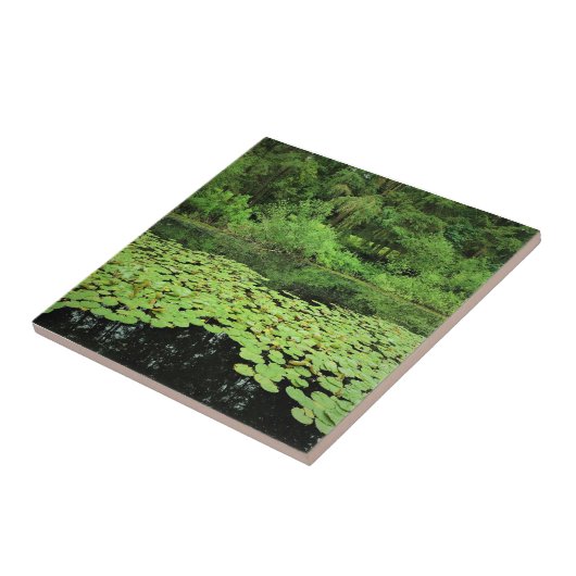 Park Molalla, Canby, Oregon Tegeltje (Zijkant)