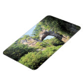 Park Natuurbrug in Virginia Magneet (Linkerzijde)