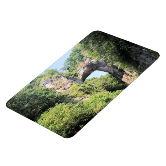 Park Natuurbrug in Virginia Magneet (Linkerzijde)