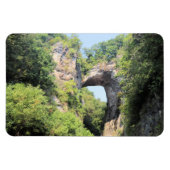 Park Natuurbrug in Virginia Magneet (Horizontaal)