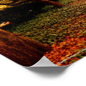 Park NYC Central Park Poster (Hoek)