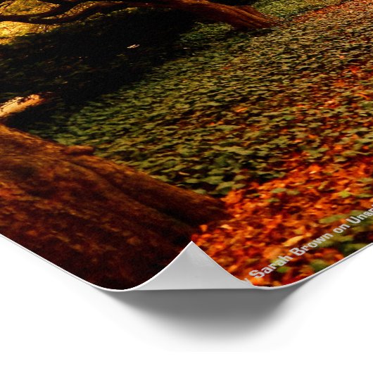 Park NYC Central Park Poster (Hoek)