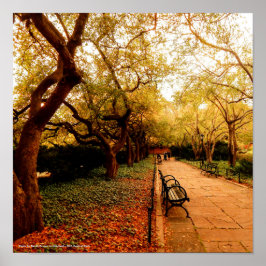 Park NYC Central Park Poster