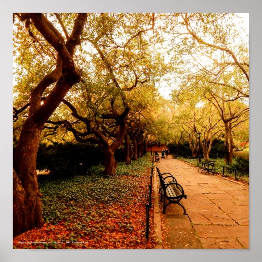 Park NYC Central Park Poster (Voorkant)