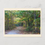 Park Path Briefkaart (Voorkant)