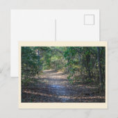 Park Path Briefkaart (Voorkant / Achterkant)