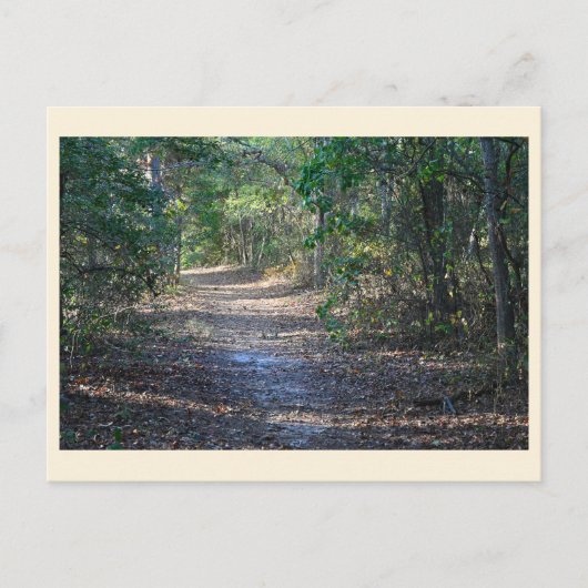 Park Path Briefkaart (Voorkant)