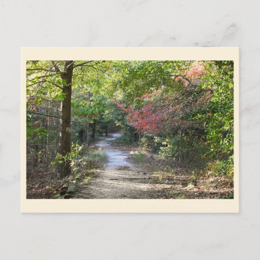 Park Path Briefkaart (Voorkant)