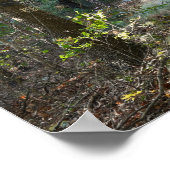 Park Path Photo Poster (Hoek)