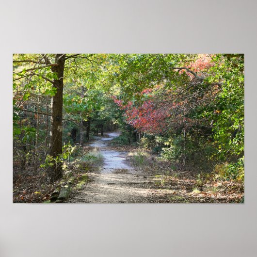 Park Path Photo Poster (Voorkant)