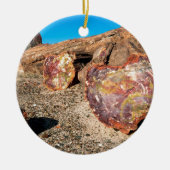 Park Petrified Forest Keramisch Ornament (Voorkant)