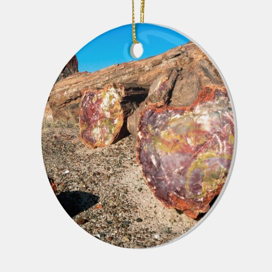 Park Petrified Forest Keramisch Ornament (Links)