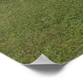 Park Poster (Hoek)