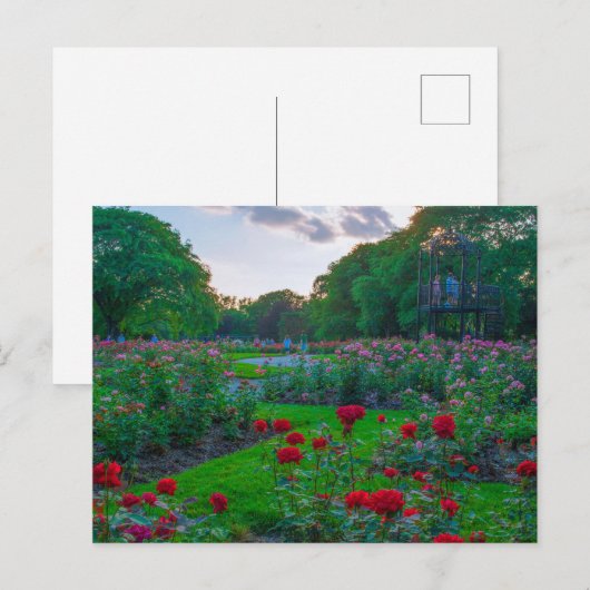 Park Rozen, Columbus, Ohio Briefkaart (Voorkant / Achterkant)