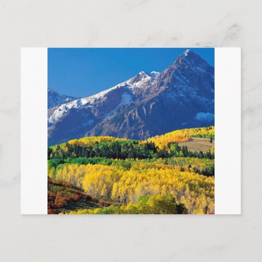 Park Sneffels Uncompahgre Forest Colorado Briefkaart (Voorkant)